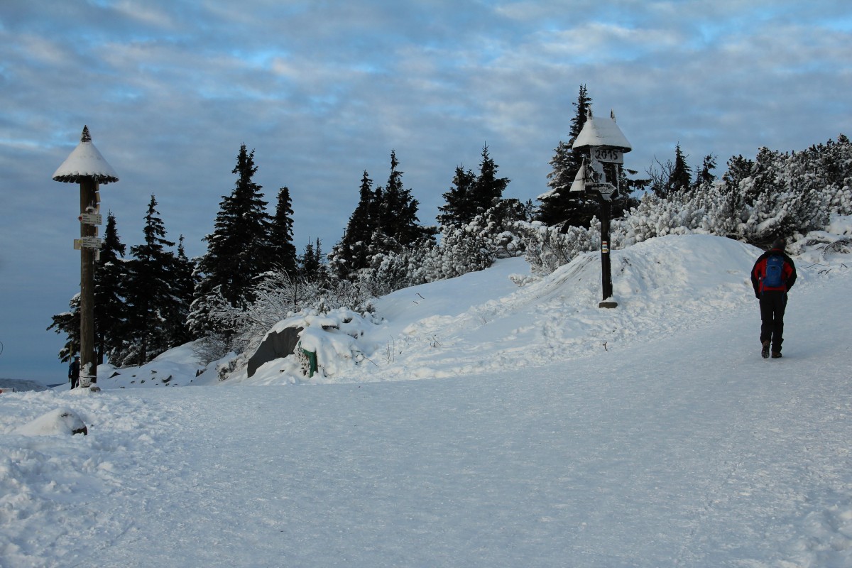 img00039.jpg