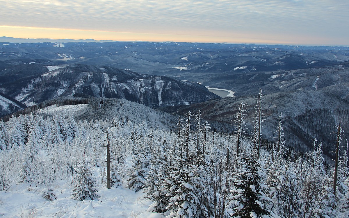 img00042.jpg