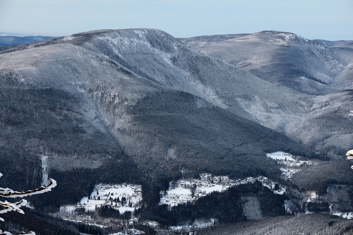img00047.jpg
