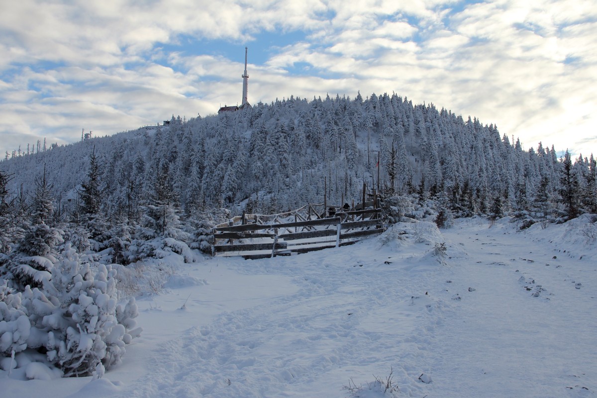 img00054.jpg