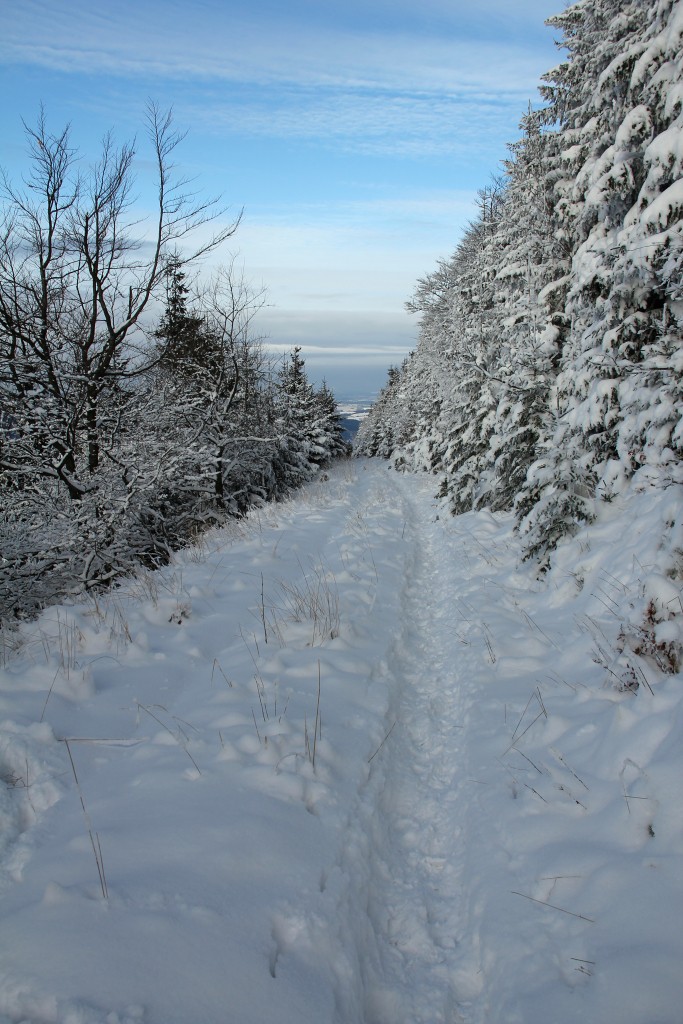 img00068.jpg
