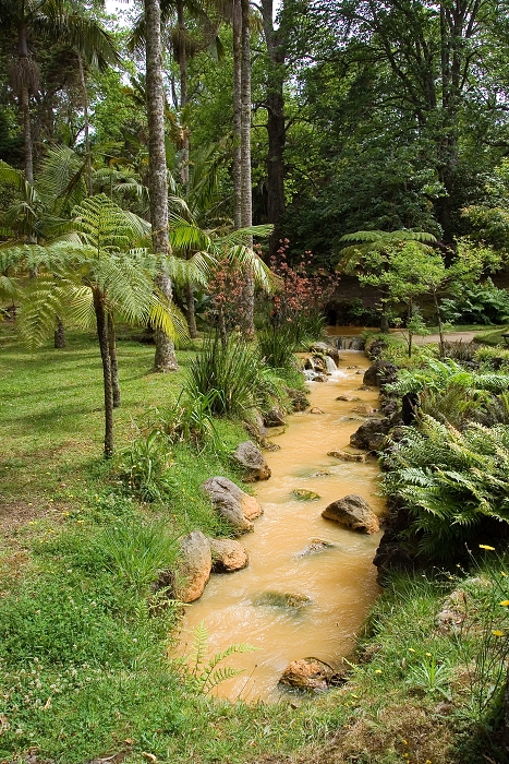img00050.jpg