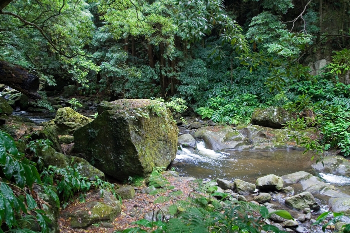 img00069.jpg