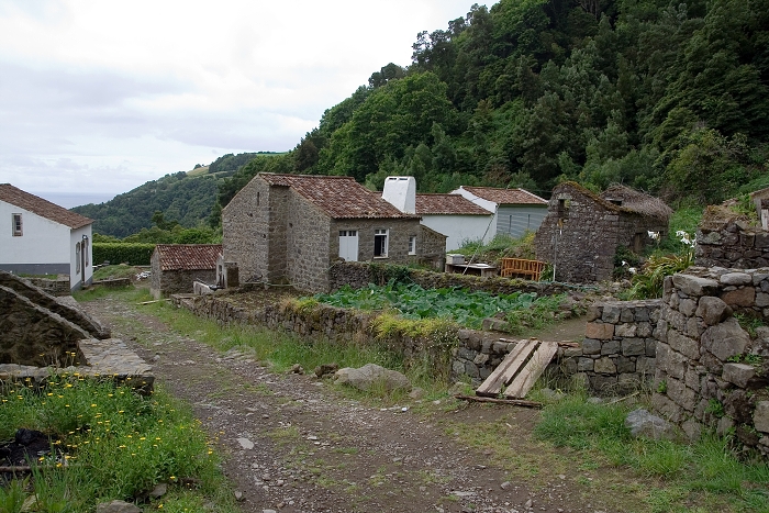 img00070.jpg