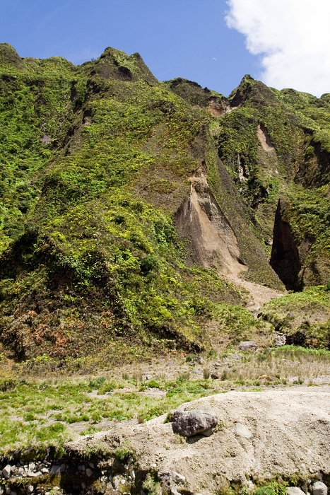 img00103.jpg