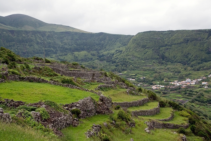 img00260.jpg