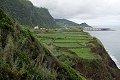 thn00218.jpg